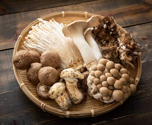 Shroom Boom! Unlocking the Power of Fermented Mushrooms for Health and Spiritual Well-being