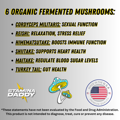 SHROOM BOOM! - Fermented Mushroom Blend w/ Vitamin C & Prebiotics